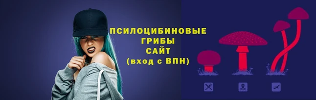 jwh Арсеньев
