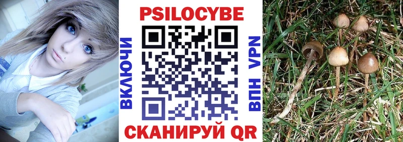 Галлюциногенные грибы GOLDEN TEACHER  где продают наркотики  гидра ССЫЛКА  Окуловка 
